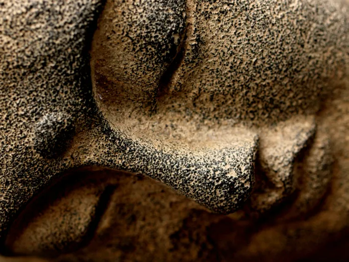 Extreme close-up of a textured stone sculpture of Lord Buddha's serene face, showing his closed eye and nose. | PrintPosters.in