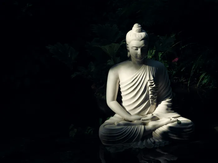 A serene white Gautama Buddha statue in meditation pose, illuminated by a dramatic light beam against a dark forest background. | PrintPosters.in