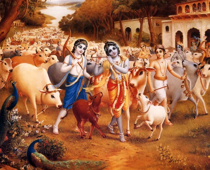 Krishna Balaram in Vrindavan Print