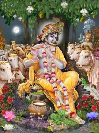 Enchanting Lord Krishna Wall Art