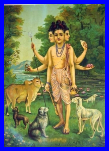 uploaded image