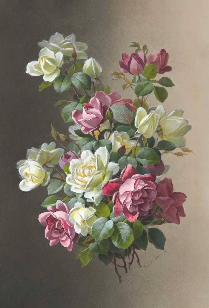 Classical botanical illustration of pink and creamy white roses blooming with rich green leaves on a warm dual-tone background. | PrintPosters.in