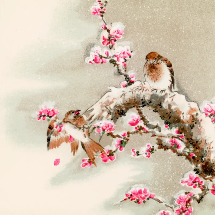 Japanese style painting of two small birds resting on a snowy tree branch filled with vibrant pink plum blossoms. | PrintPosters.in