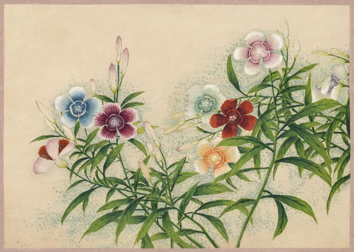 Vintage botanical watercolor painting of Dianthus flowers in soft blue, red, peach, and pink on beige paper. | PrintPosters.in