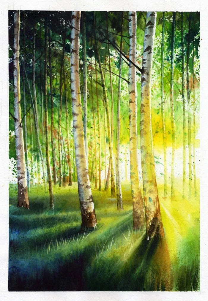 A vertical watercolor painting of slender white birch trunks in a forest illuminated by warm golden rays of sunlight. | PrintPosters.in