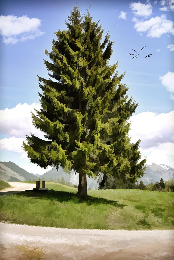 A lush green pine tree standing in a sunlit meadow with distant alpine mountains and birds flying in a blue sky. | PrintPosters.in