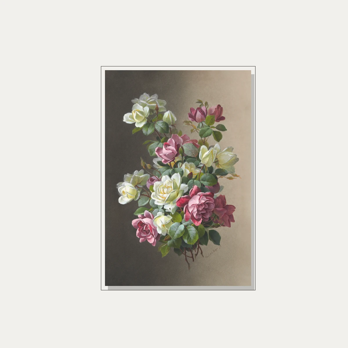Classical botanical illustration of pink and creamy white roses blooming with rich green leaves on a warm dual-tone background. — floater frame preview | PrintPosters.in