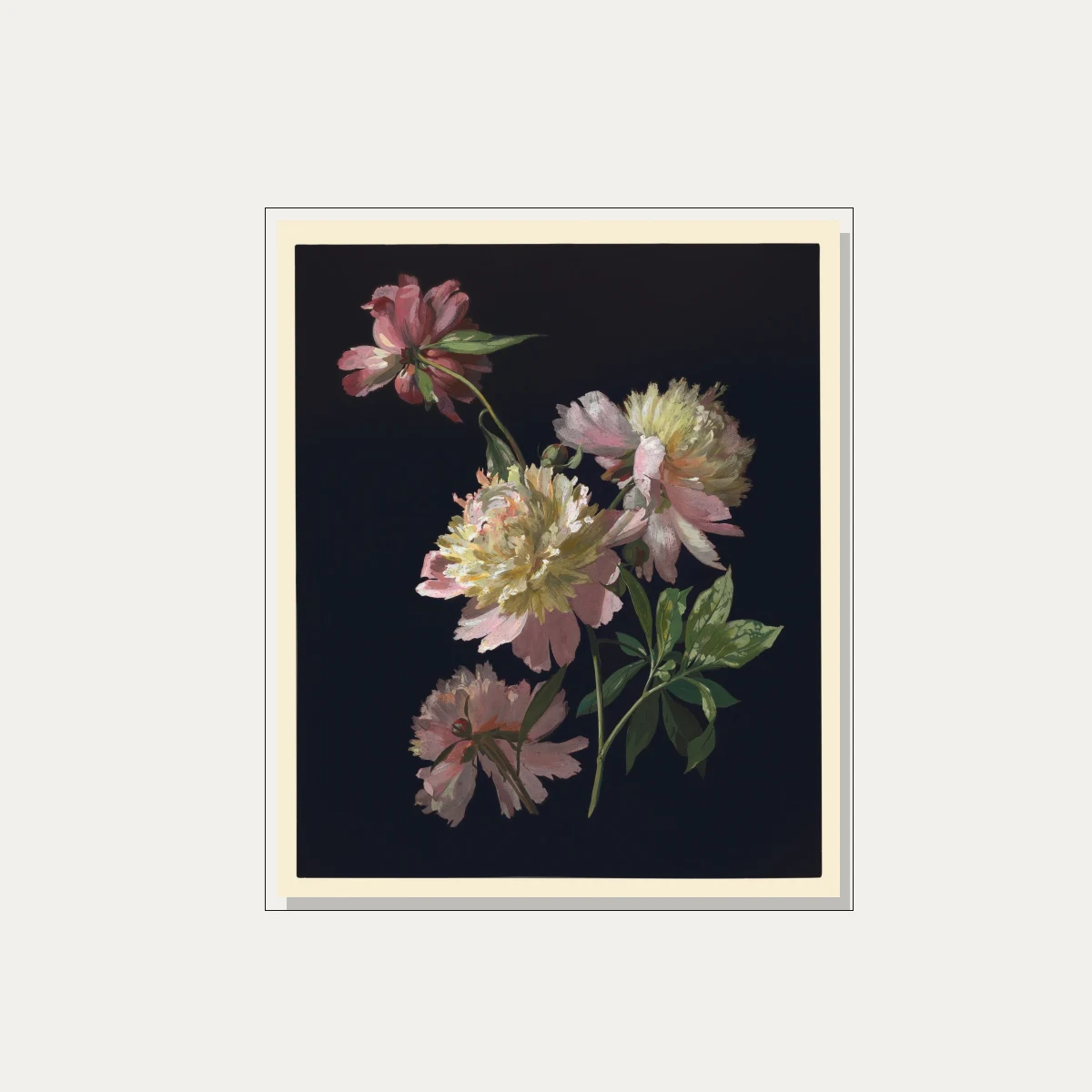 Detailed botanical illustration of blush pink peonies emerging from a pitch-black background with green leaves. — floater frame preview | PrintPosters.in