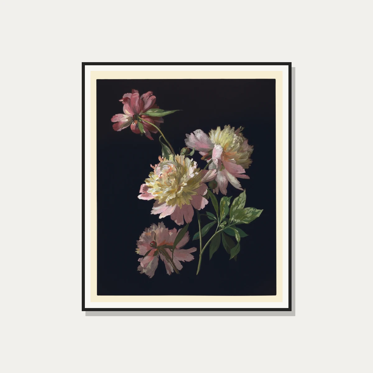 Detailed botanical illustration of blush pink peonies emerging from a pitch-black background with green leaves. — photo frame preview | PrintPosters.in
