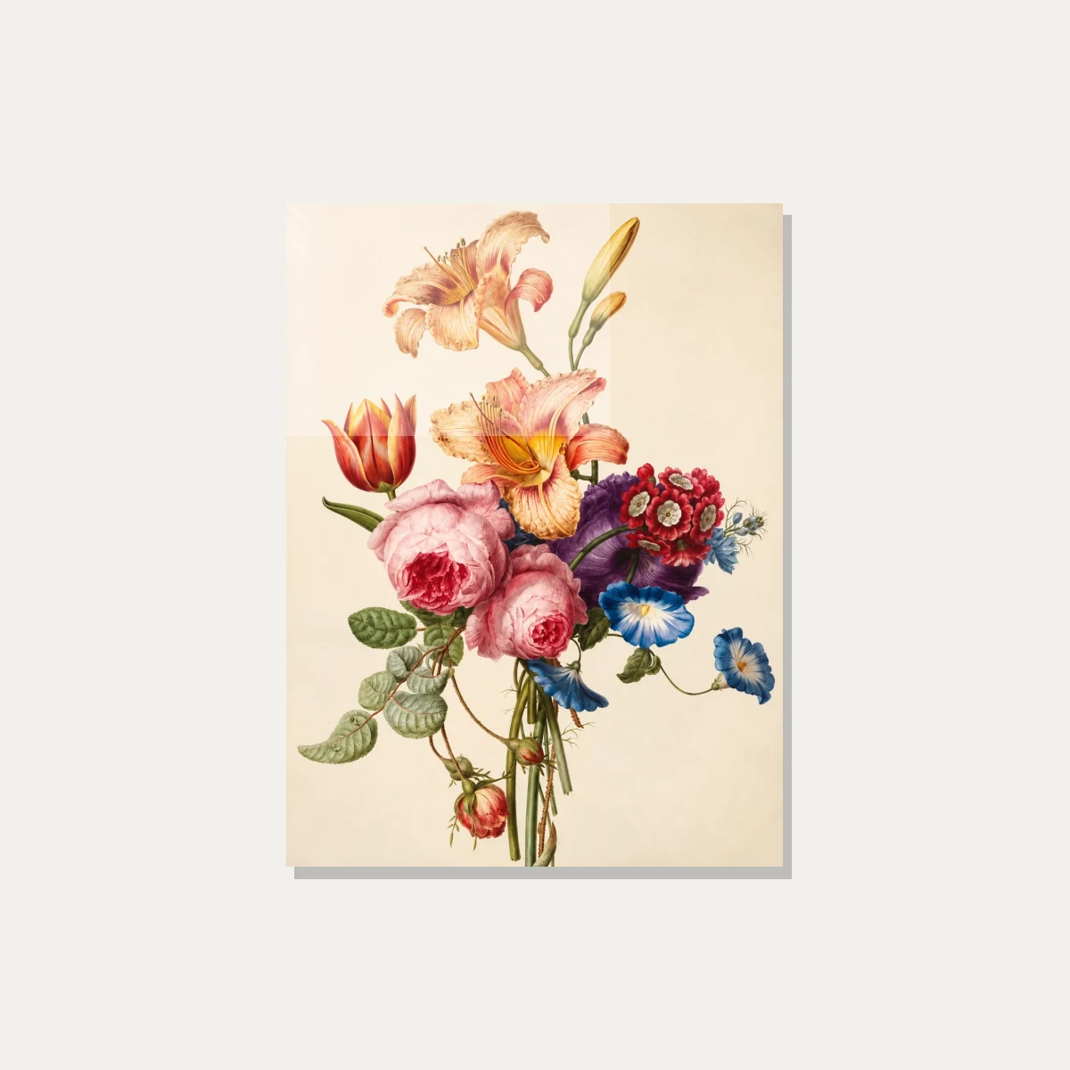 Vintage botanical illustration featuring orange daylilies, lush pink cabbage roses, a red tulip, and blue morning glories. — acrylic preview | PrintPosters.in