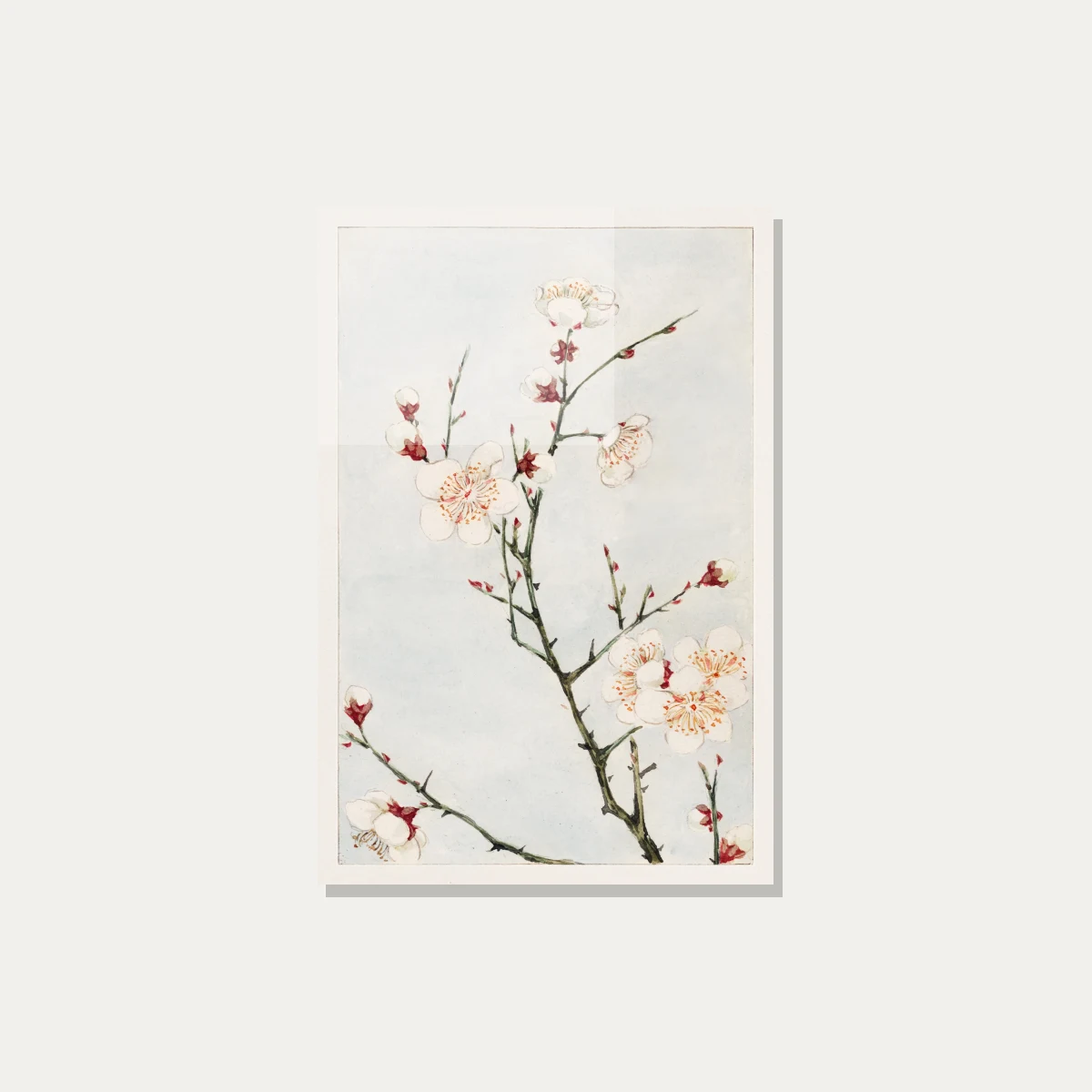 Watercolor illustration of blooming white plum blossoms with red sepals on slender green branches against a pale blue wash. — acrylic preview | PrintPosters.in