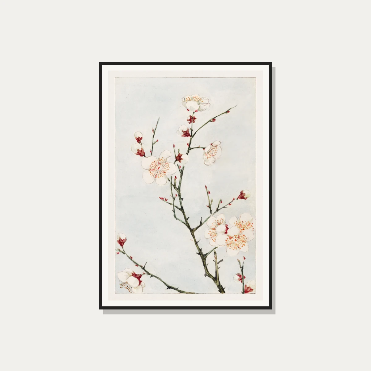 Watercolor illustration of blooming white plum blossoms with red sepals on slender green branches against a pale blue wash. — photo frame preview | PrintPosters.in
