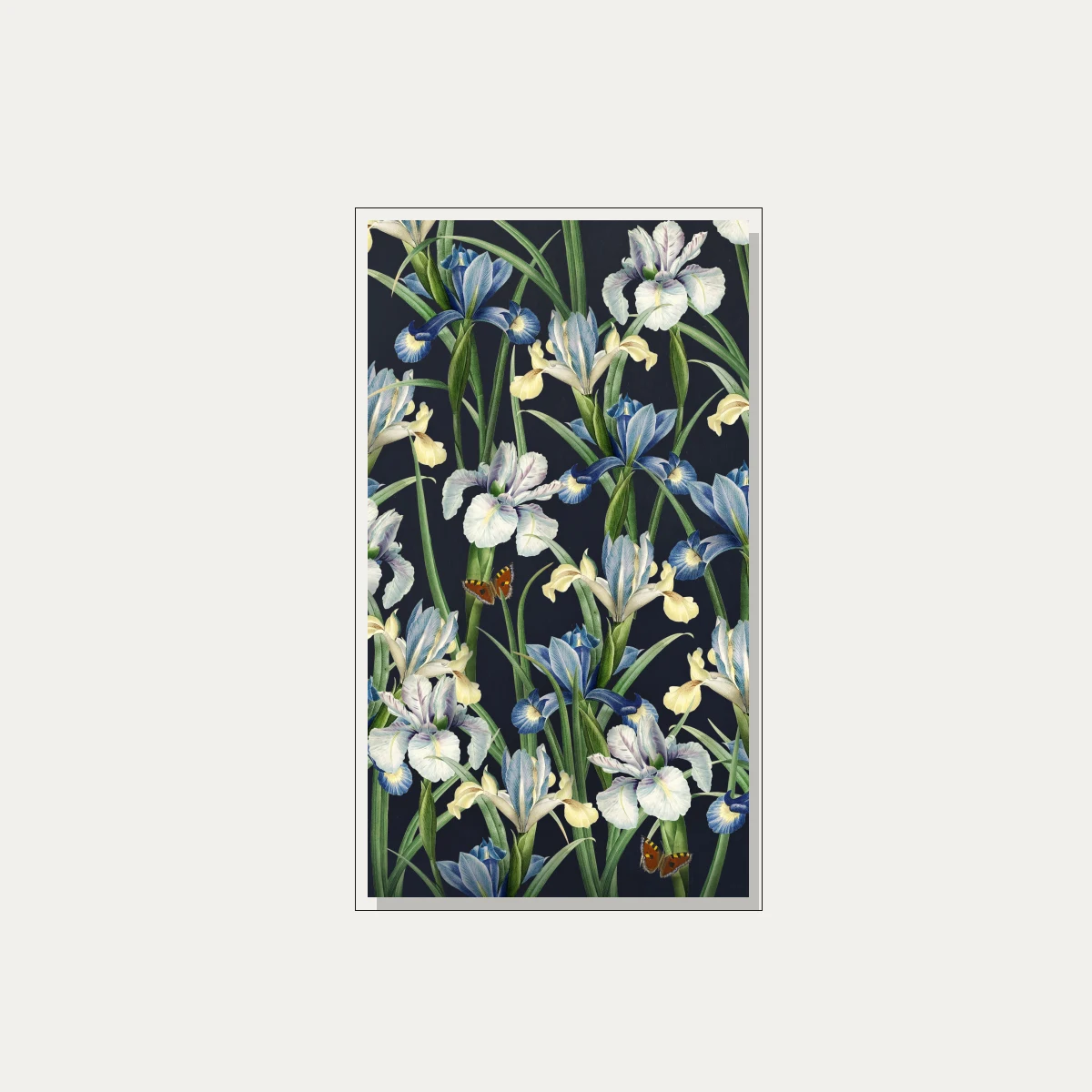Vintage botanical illustration of blue and white iris flowers with orange butterflies on a dark navy background. — floater frame preview | PrintPosters.in