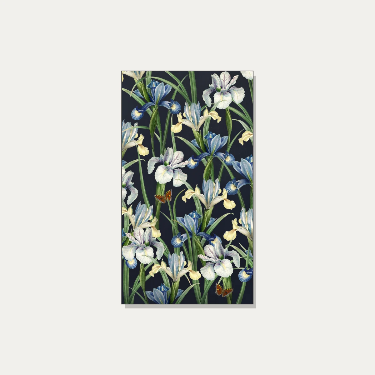 Vintage botanical illustration of blue and white iris flowers with orange butterflies on a dark navy background. | PrintPosters.in