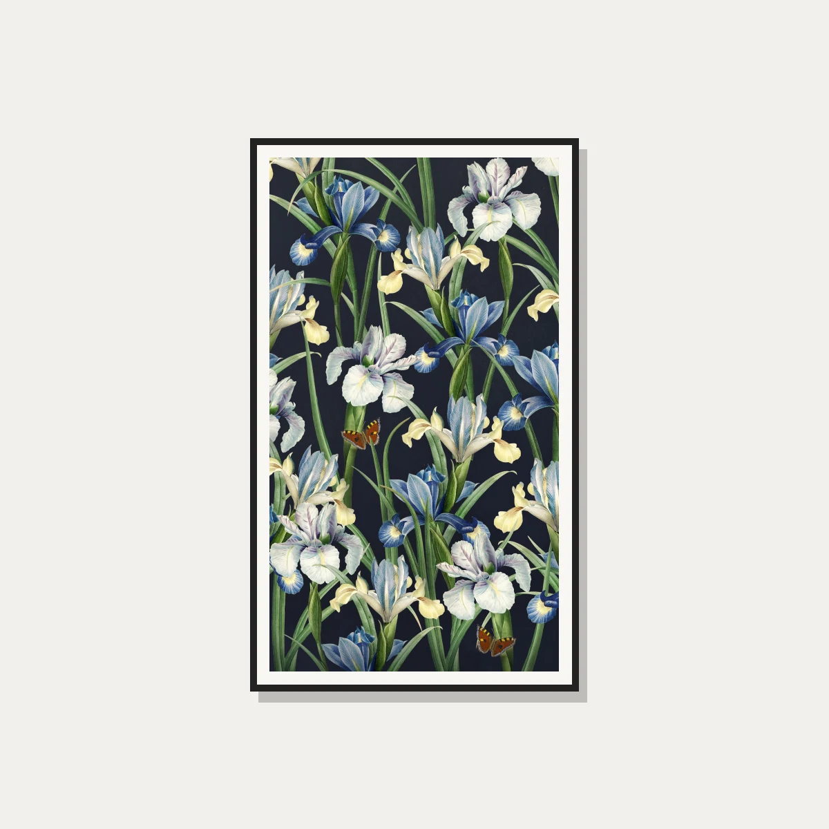 Vintage botanical illustration of blue and white iris flowers with orange butterflies on a dark navy background. — photo frame preview | PrintPosters.in