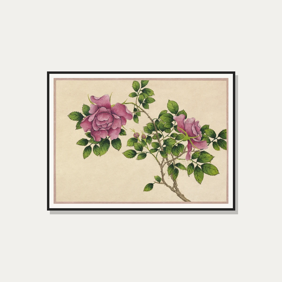 Detailed botanical illustration of pink wild roses with green leaves on warm beige parchment background. — photo frame preview | PrintPosters.in