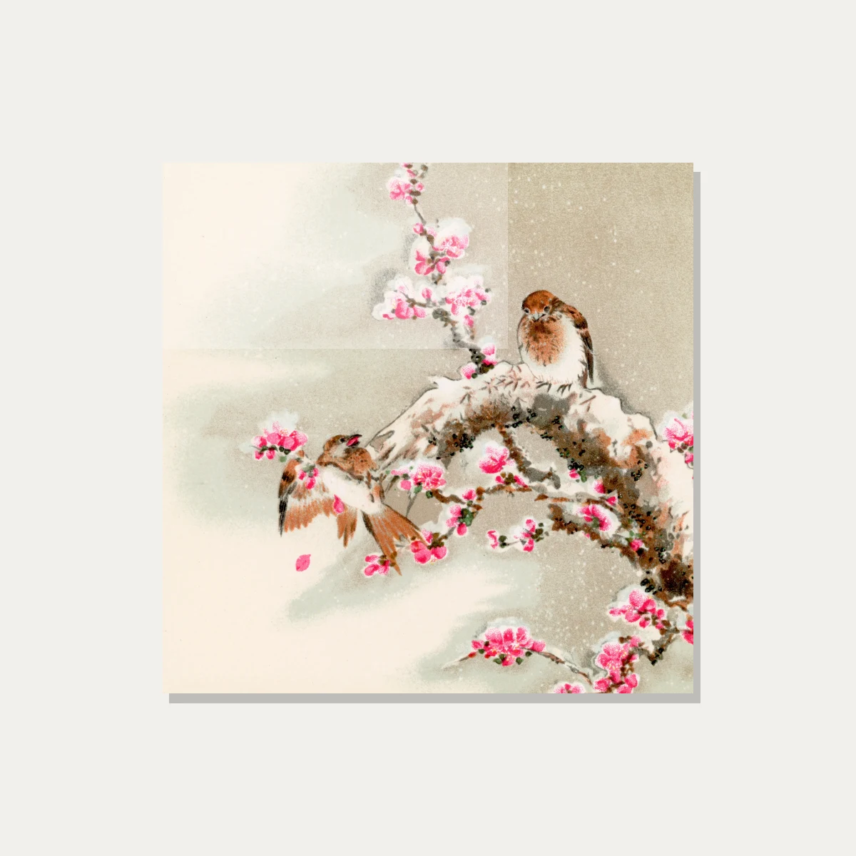 Japanese style painting of two small birds resting on a snowy tree branch filled with vibrant pink plum blossoms. — acrylic preview | PrintPosters.in