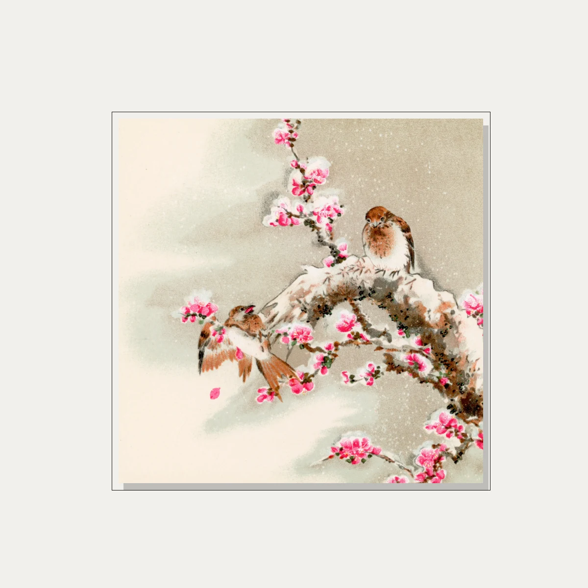 Japanese style painting of two small birds resting on a snowy tree branch filled with vibrant pink plum blossoms. — floater frame preview | PrintPosters.in