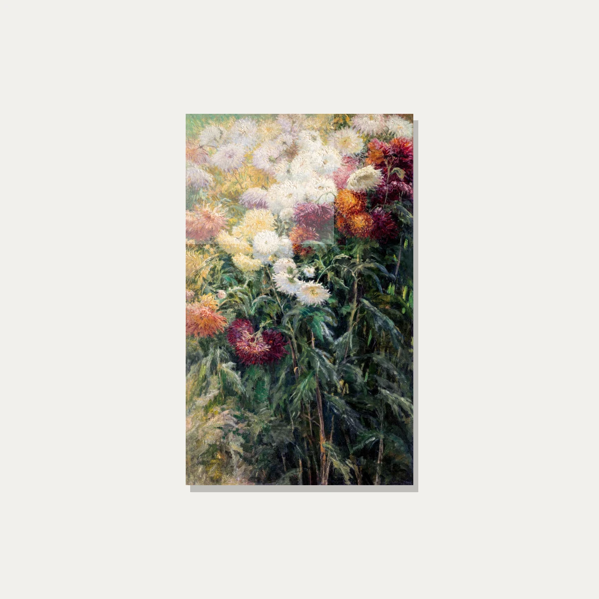 An Impressionist oil painting depicting dense white, yellow, orange, and wine-red chrysanthemums with lush dark green foliage. — acrylic preview | PrintPosters.in