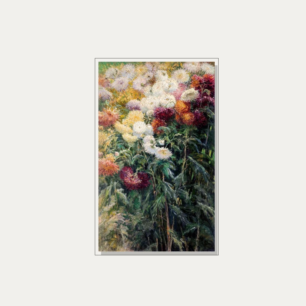 An Impressionist oil painting depicting dense white, yellow, orange, and wine-red chrysanthemums with lush dark green foliage. — floater frame preview | PrintPosters.in