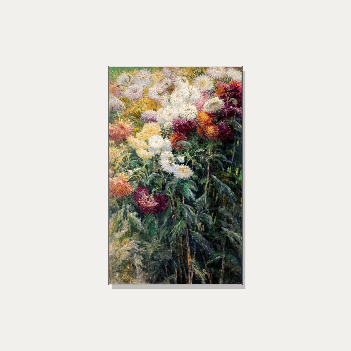 An Impressionist oil painting depicting dense white, yellow, orange, and wine-red chrysanthemums with lush dark green foliage. | PrintPosters.in