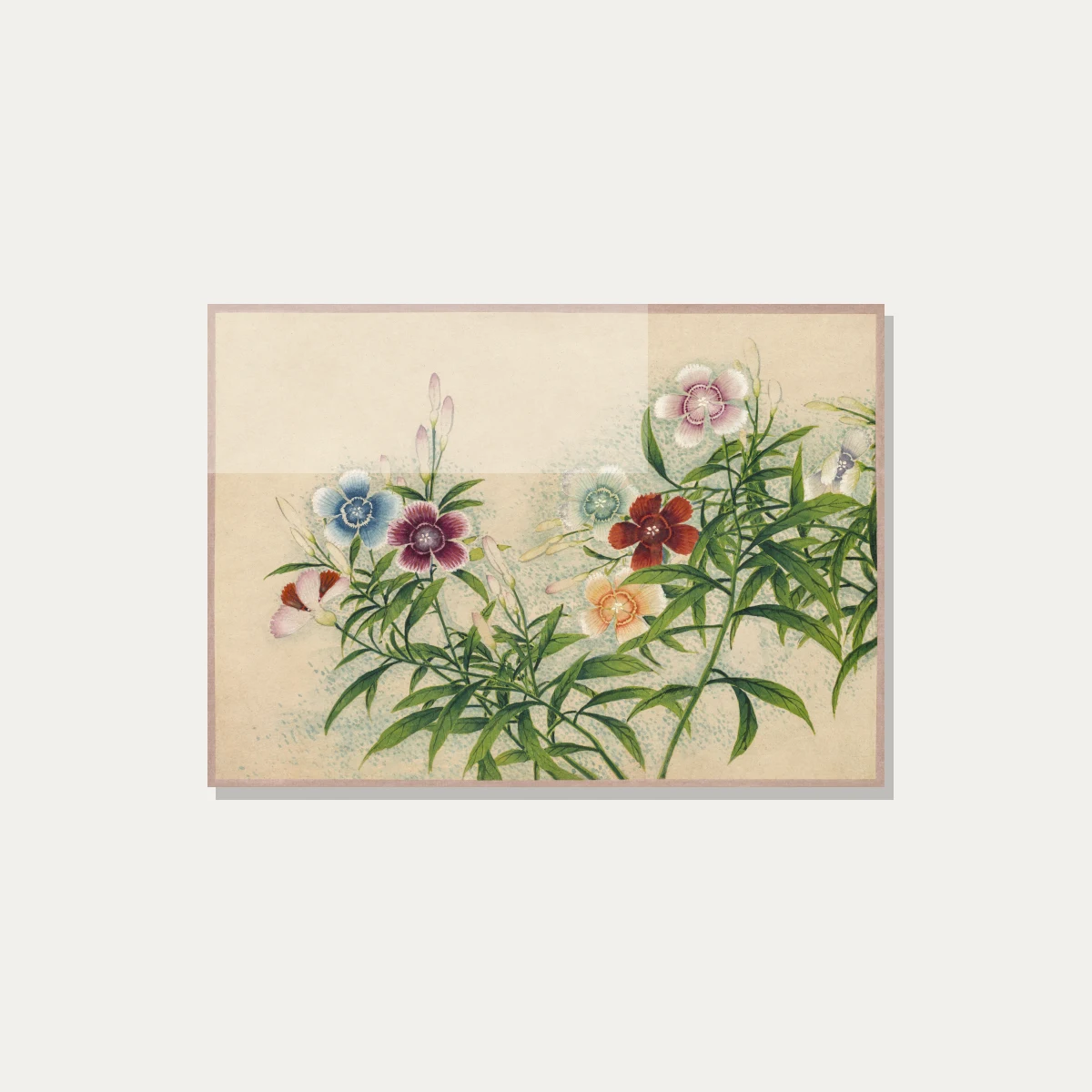 Vintage botanical watercolor painting of Dianthus flowers in soft blue, red, peach, and pink on beige paper. — acrylic preview | PrintPosters.in