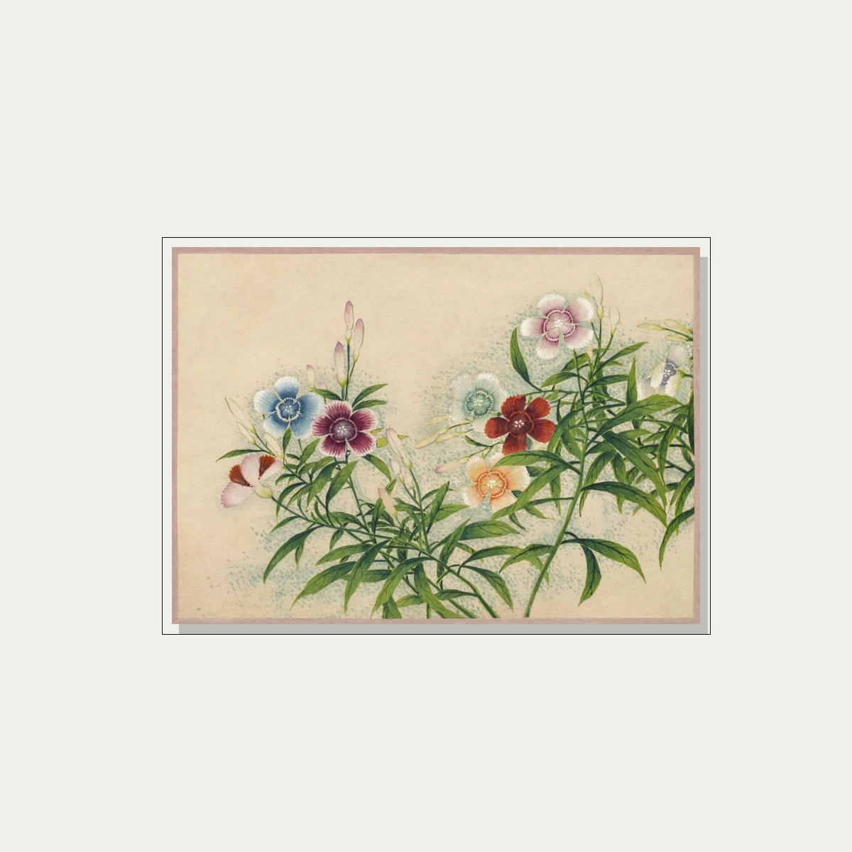 Vintage botanical watercolor painting of Dianthus flowers in soft blue, red, peach, and pink on beige paper. — floater frame preview | PrintPosters.in