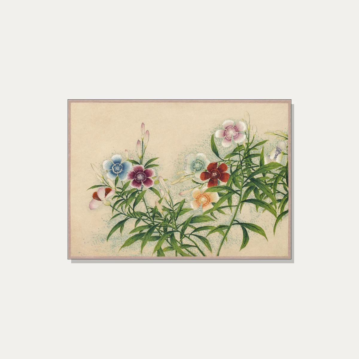 Vintage botanical watercolor painting of Dianthus flowers in soft blue, red, peach, and pink on beige paper. | PrintPosters.in