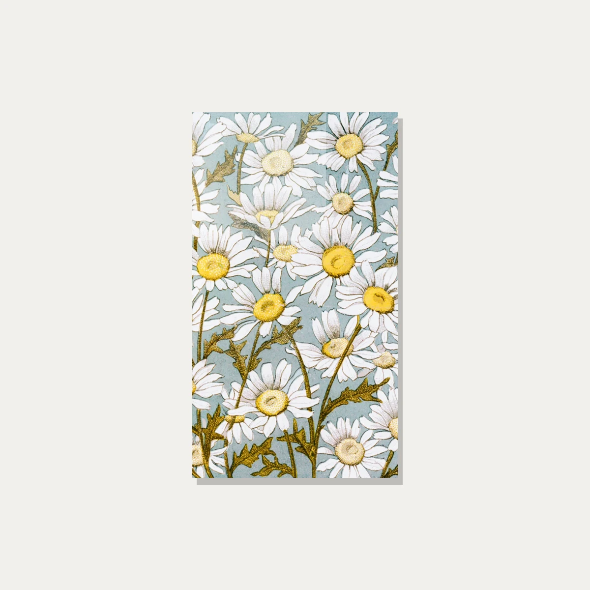 Vintage botanical illustration featuring dense white daisy flowers with yellow centers on a soft blue background. — acrylic preview | PrintPosters.in