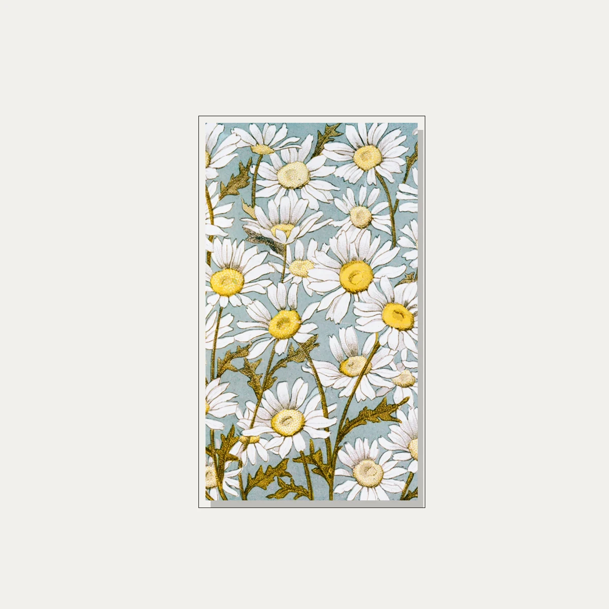 Vintage botanical illustration featuring dense white daisy flowers with yellow centers on a soft blue background. — floater frame preview | PrintPosters.in