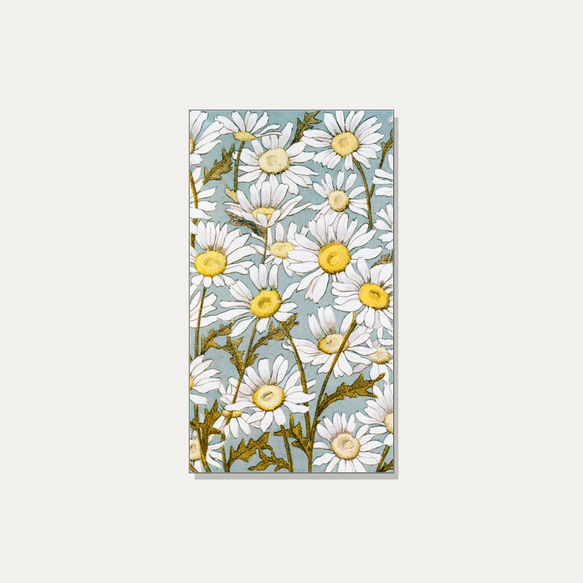 Vintage botanical illustration featuring dense white daisy flowers with yellow centers on a soft blue background. | PrintPosters.in