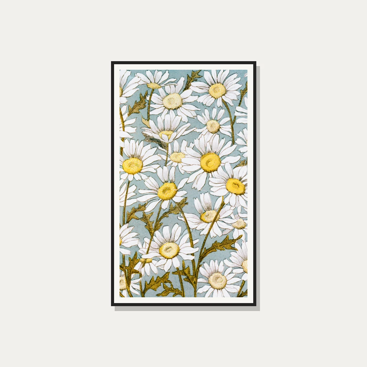 Vintage botanical illustration featuring dense white daisy flowers with yellow centers on a soft blue background. — photo frame preview | PrintPosters.in