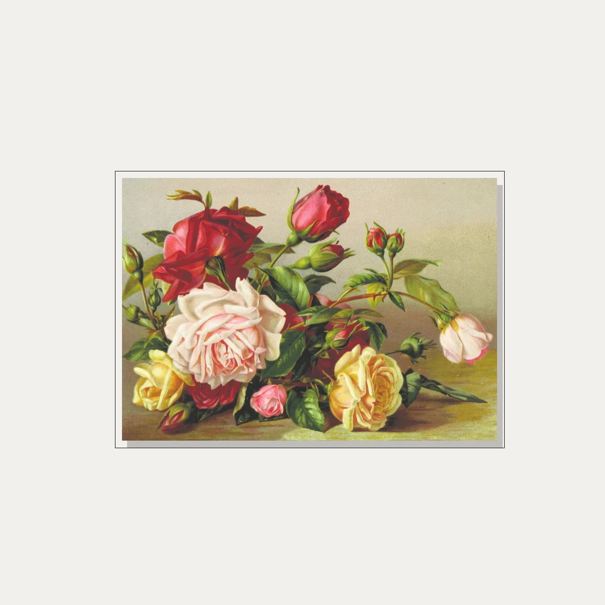 Vintage botanical illustration featuring a cluster of red, pink, and yellow roses with green leaves. — floater frame preview | PrintPosters.in