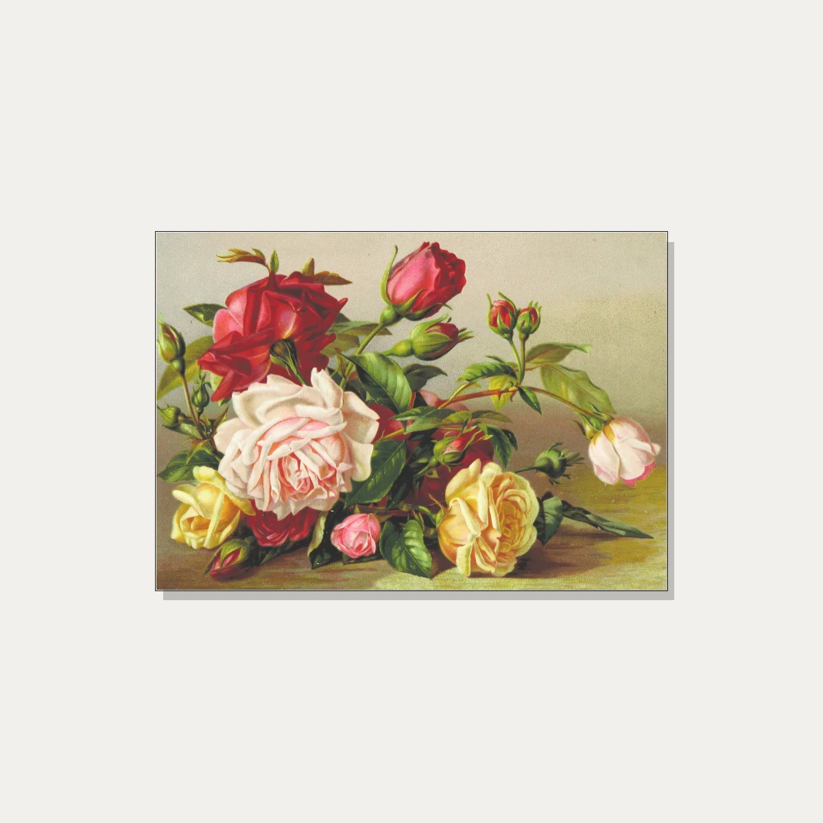 Vintage botanical illustration featuring a cluster of red, pink, and yellow roses with green leaves. | PrintPosters.in
