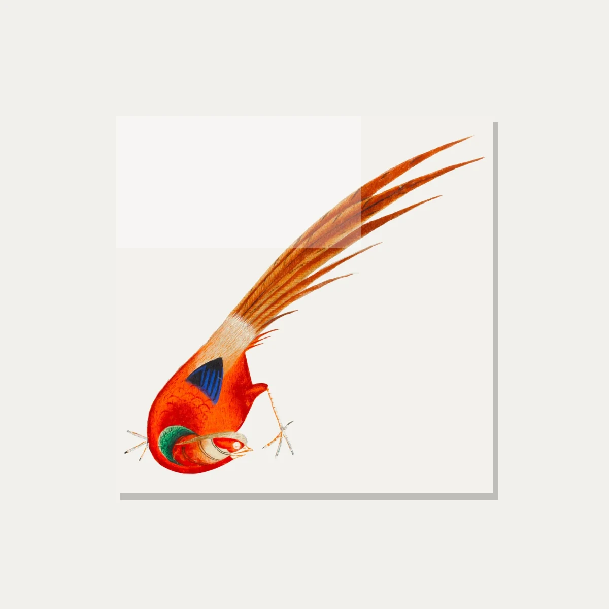 Traditional Asian Red Bird Painting Canvas wall art print — acrylic preview | PrintPosters.in