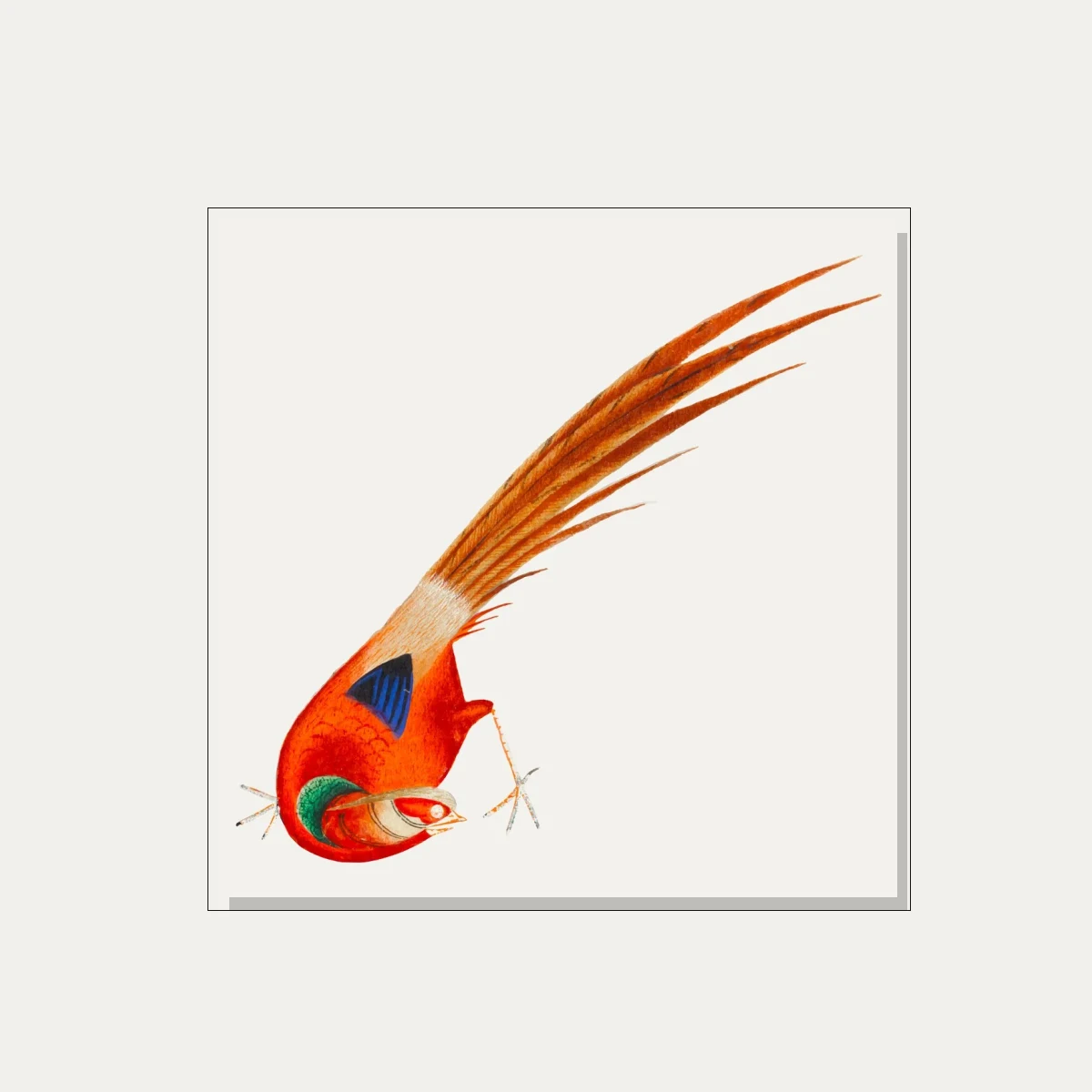 Traditional Asian Red Bird Painting Canvas wall art print — floater frame preview | PrintPosters.in