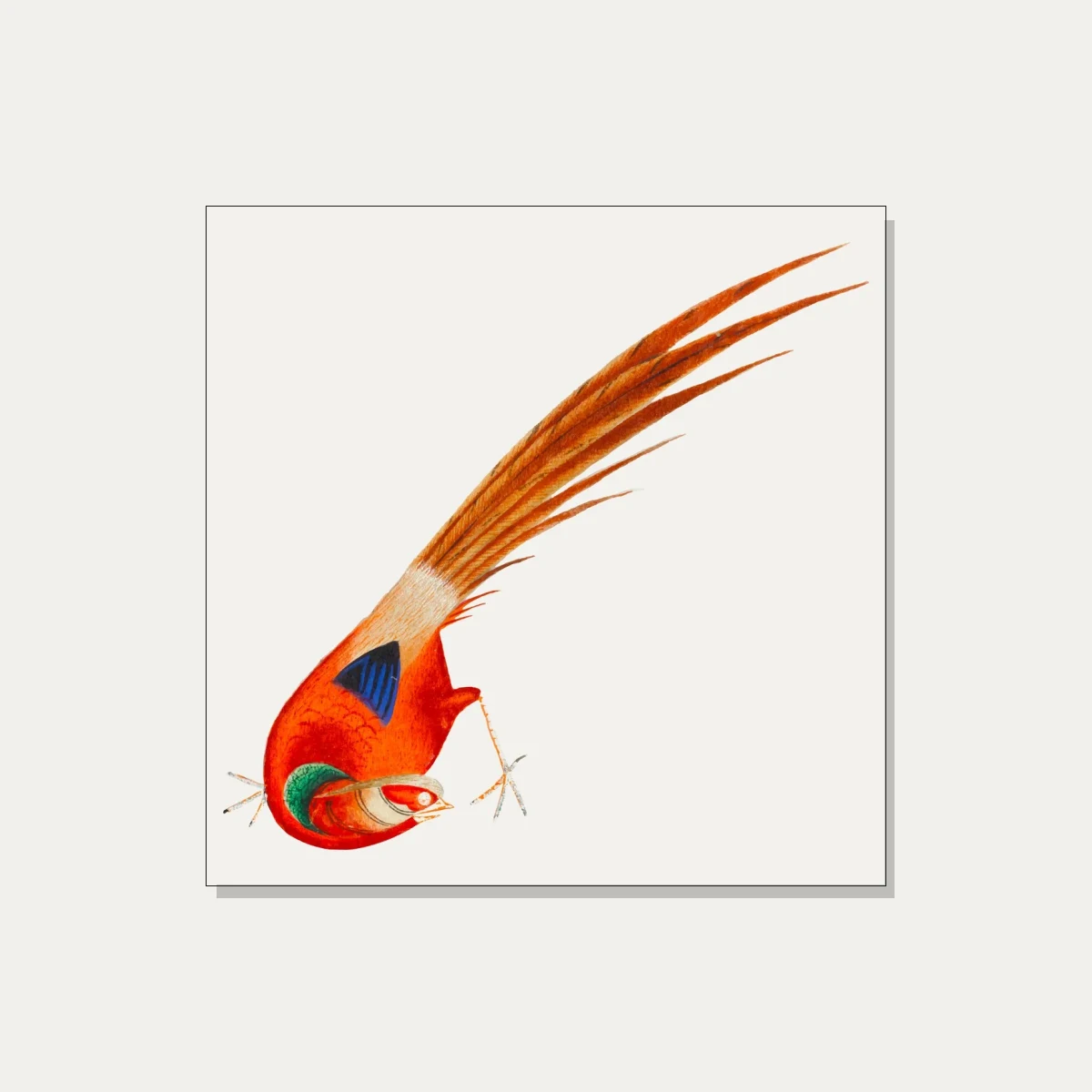 Traditional Asian Red Bird Painting Canvas wall art print | PrintPosters.in