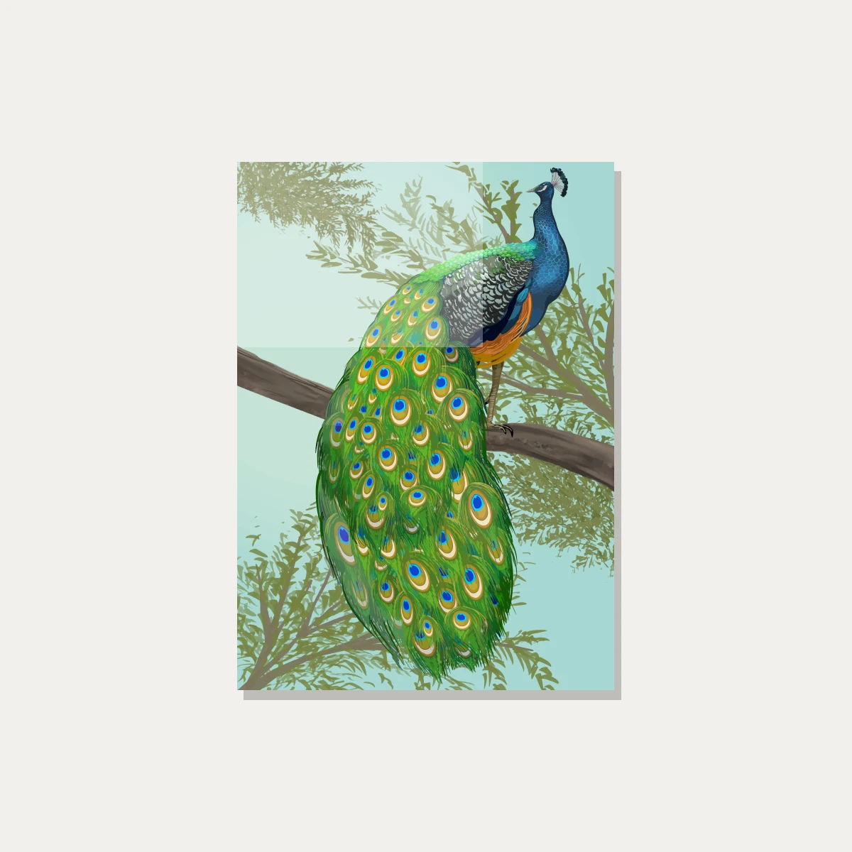 Elegant Hand-Drawn Peacock Canvas Print wall art print — acrylic preview | PrintPosters.in