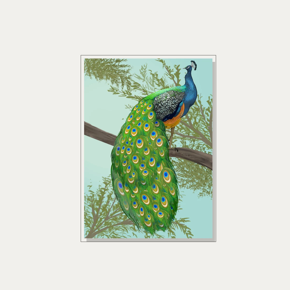 Elegant Hand-Drawn Peacock Canvas Print wall art print — floater frame preview | PrintPosters.in