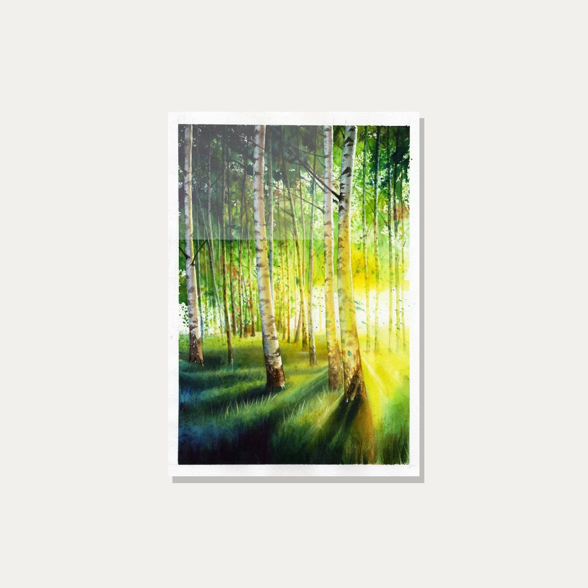 Sunlit Birch Forest Watercolor — acrylic preview | PrintPosters.in