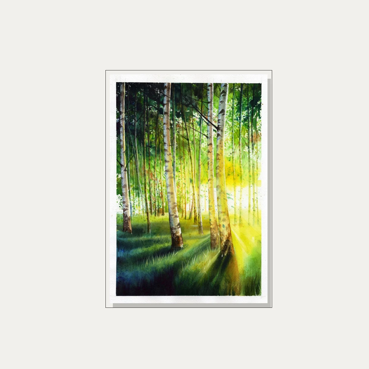 Sunlit Birch Forest Watercolor — floater frame preview | PrintPosters.in
