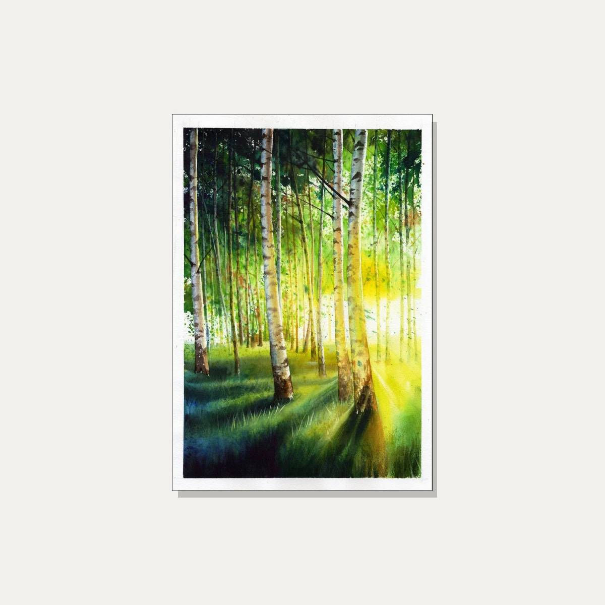 Sunlit Birch Forest Watercolor | PrintPosters.in