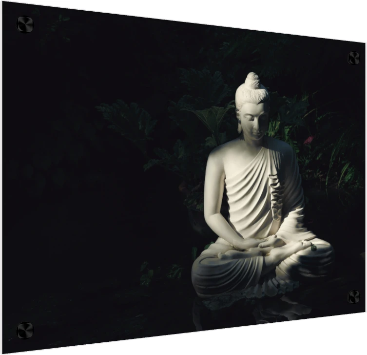 A serene white Gautama Buddha statue in meditation pose, illuminated by a dramatic light beam against a dark forest background. — acrylic preview | PrintPosters.in