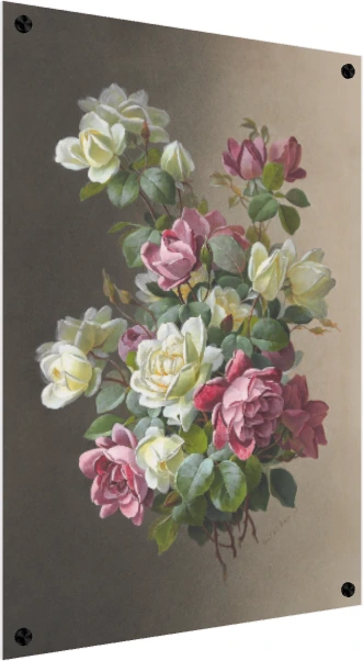 Classical botanical illustration of pink and creamy white roses blooming with rich green leaves on a warm dual-tone background. — acrylic preview | PrintPosters.in