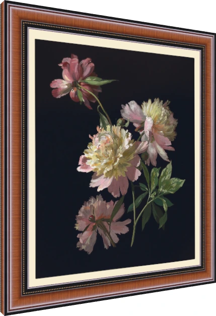 Detailed botanical illustration of blush pink peonies emerging from a pitch-black background with green leaves. — photo frame preview | PrintPosters.in
