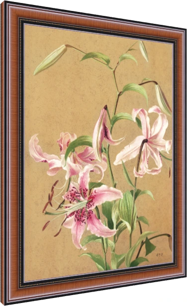 Vintage botanical illustration of pink spotted Oriental lilies on textured parchment background. — photo frame preview | PrintPosters.in