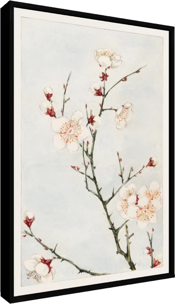 Watercolor illustration of blooming white plum blossoms with red sepals on slender green branches against a pale blue wash. — floater frame preview | PrintPosters.in