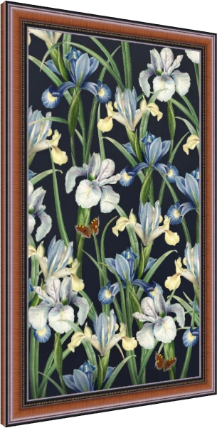 Vintage botanical illustration of blue and white iris flowers with orange butterflies on a dark navy background. — photo frame preview | PrintPosters.in