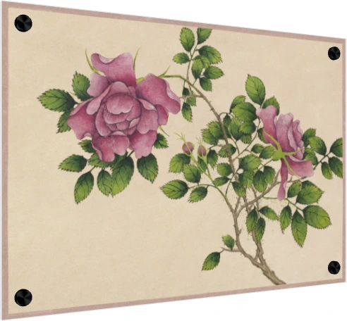 Detailed botanical illustration of pink wild roses with green leaves on warm beige parchment background. — acrylic preview | PrintPosters.in