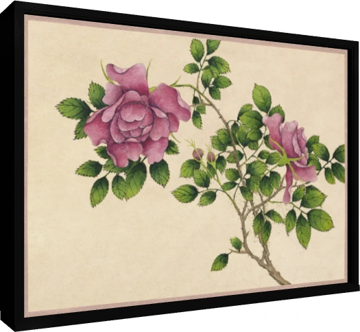 Detailed botanical illustration of pink wild roses with green leaves on warm beige parchment background. — floater frame preview | PrintPosters.in